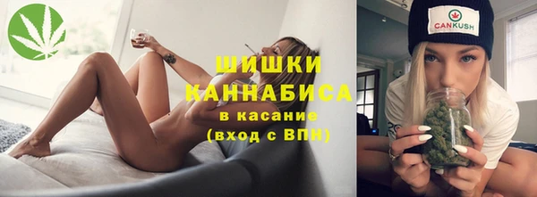 ГАЛЛЮЦИНОГЕННЫЕ ГРИБЫ Белоозёрский